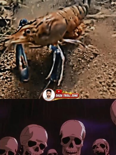 #memes