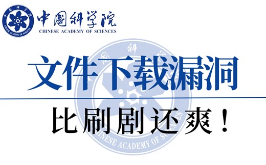 爆肝1个月！拜托三连了！这绝对是全B站最用心的渗透测试文件漏洞入门到进阶实战教程，一套视频让你学会！
