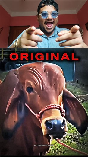 12K views · 158 reactions | "Looks like this cow is inspired by Rock.. #review #videoreview #reviewvideo #Amazing #BMW #trending #viral #reels #cow #rock #rockstar | Sohag Prodhan | Facebook
