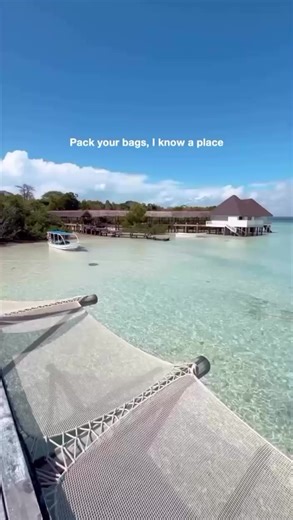 #WasiniDolphinTours #DolphinWatching #Snorkelingwasini #Hotel #wasiniisland