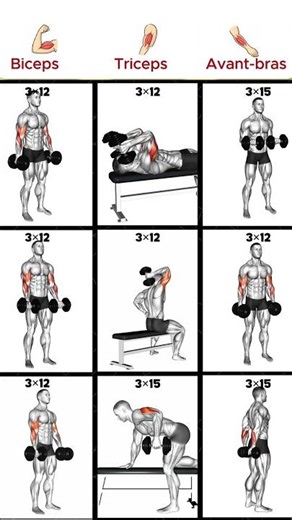9 Exercices Haltères pour des Bras Forts et Sculptés 💪 #halteres #biceps #triceps #avant-bras