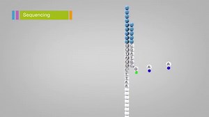 High-throughput DNA Sequencing Techniques