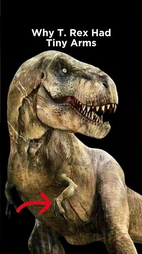 T-Rex Arms Were Small for a TERRIFYING Reason