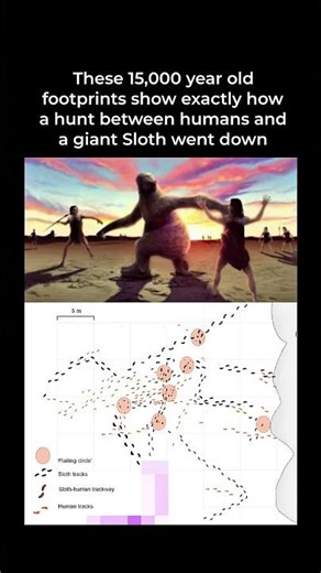 15,000-Year-Old Hunt | Captured in Footprints! 🦣👣