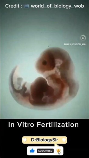 In vitro fertilization ‪@DrBiologySir‬ #biology #ivf #fertilization #invitro #reproduction #neet