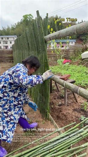 Building a Dense Bamboo Fence for the Kitchen Garden 🎋🌿