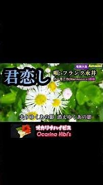 君恋し·ハーモニカ演奏·フランク永井·昭和歌謡·Shorts·No612·1951曲目· #オカリナ #カラオケ #歌ってみた #ハーモニカ #歌謡曲