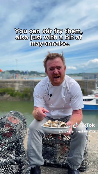 Discover the Delicious World of Whelks