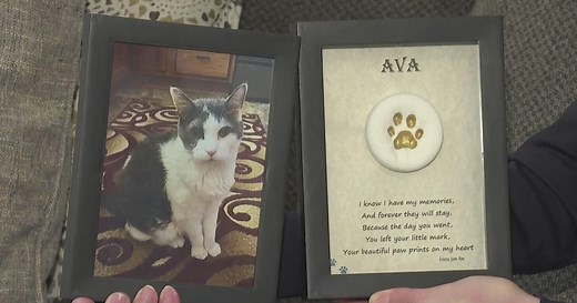 Pennsylvania funeral director accused of throwing out thousands of pets' bodies