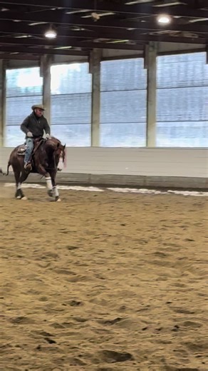 CD Metallic and Matt McAuslan getting it done! #cdmetallic ##equiagent #nrcha #NRHA @Horses and houses