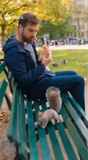 SQUIRREL STEALS MY SANDWICH 😱 #shorts #viral #memes #ai #funny #memes