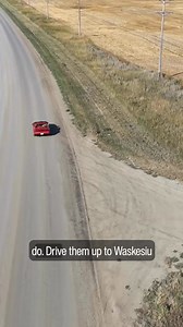 8.1K views · 83 reactions | This one is for the *NSYNC fans. You officially survived winter in on the #prairies #throwback #memeseason #yxe #funnyreels #MayMadness | Rock 102 | Facebook