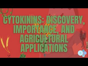 Cytokinins: Discovery, Importance, and Agricultural Applications