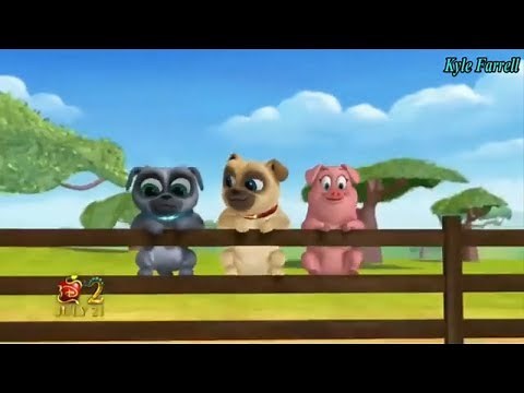 Puppy Dog Pals | Pigs and Pugs Episode 13 - Kyle Farrell