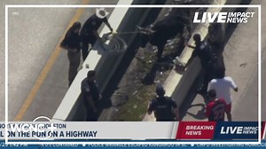 Bull runs loose on Texas highway