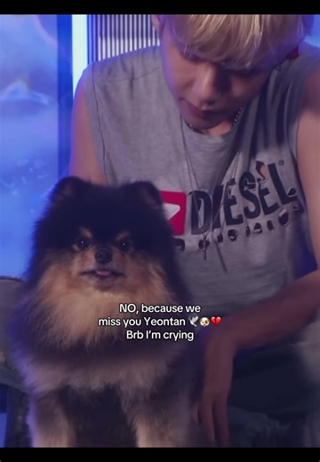 We miss you, Yeontan. 🐶🕊️ 🥺💔 #v#vtaehyung #yeontan #bts #bighit_official_bts @BTS