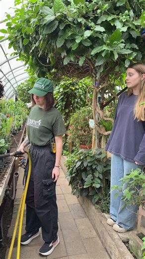 Discover Rare Houseplants for Your Collection