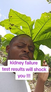 264K views · 3.3K reactions | kidney failure test results will shock  you #kidney #Trumpetleaf #Sharkamal #reverseit | Shar Kamal | Facebook
