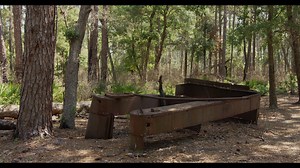 2.4K views · 46 reactions | Be sure to watch this wonderful video on the Okefenokee National Wildlife Refuge history & various entrances. Okefenokee National Wildlife Refuge Stephen C. Foster State Park Okefenokee Adventures | Okefenokee Swamp Park | Facebook