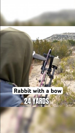 Rabbit with a bow #bowhunting #archery