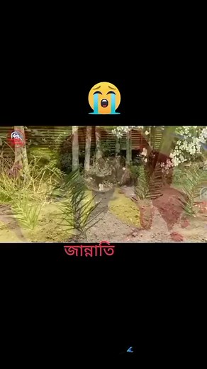 Md Mostakim on TikTok