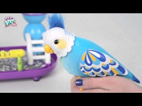 Full Demo Video Little Live Pets Cleverkeet!