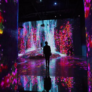 5.2K reactions · 1.5K shares | Explore a World Without Boundaries. August and September Tickets Available Now! In Odaiba,Tokyo | teamLab Borderless / チームラボボーダレス | Facebook