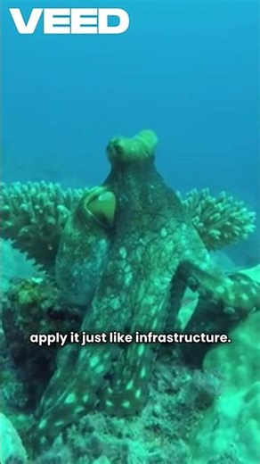 Stop Duplicating Config — Use Octopus Variable Sets