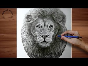 Simple Way to Draw a Hyper Realistic Lion Face | Easy Steps to Perfect Shading and Detail