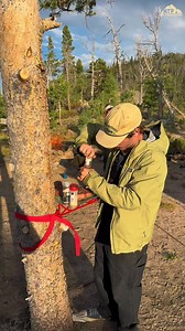 50 reactions | Pick a Tree and Cook RightSet up inseconds. Strap it...