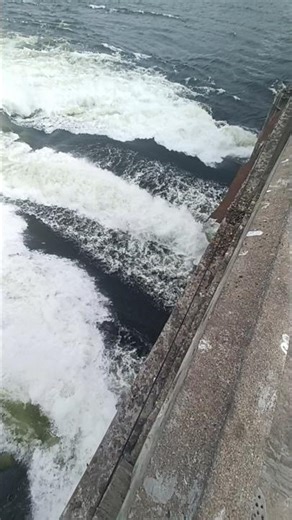 #most satisfaction #power of water #dam #ytshorts #nature