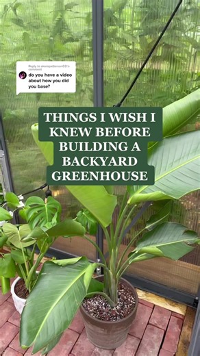 Reply to @alexispatterson03 backyard greenhouse tips -✨foundation edition✨ #gardentok #fyp #diditmyself #DIYproject #Spring