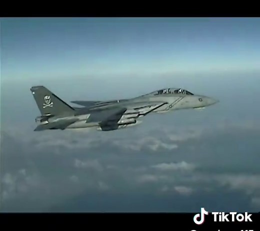 F-14 Tomcat: Fear the Bones