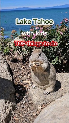 Top things to do with kids in Lake Tahoe 🍃