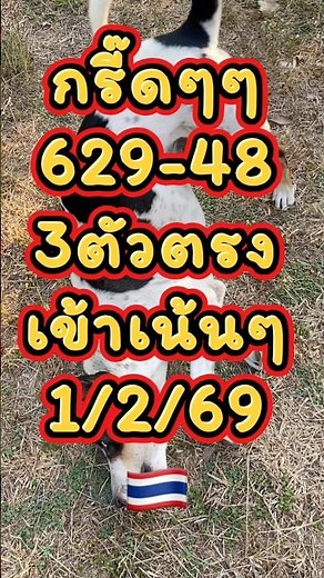 เเตกบ-ล🎉629-48 สะใจอิซ้อยนัก🇹🇭🇹🇭มามะเงินจ้า🚛🚛💸💸💸ชานมมาขอบคุณ629-48🎉🎉💥💥