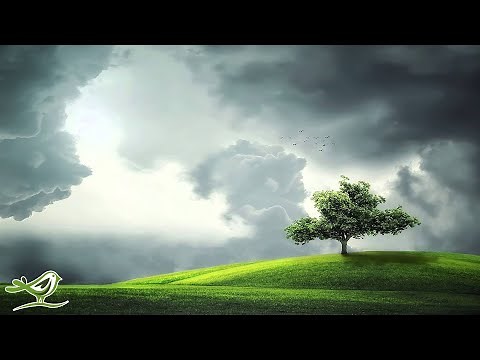 1 Hour of Relaxing Sleep Music: Deep Sleep, Instrumental Sleeping Music ★20