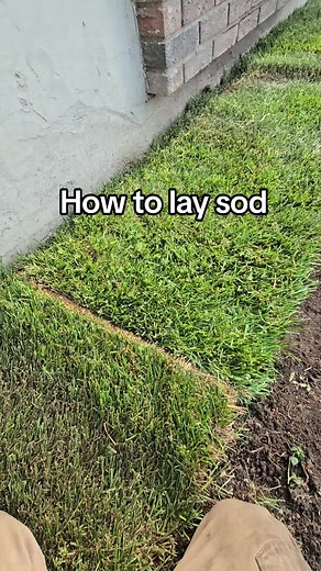 How to Install Sod: Step-by-Step Guide for Your Lawn