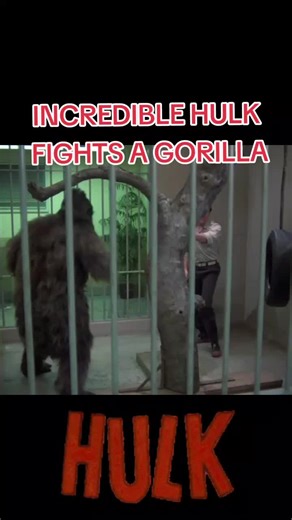 Incredible Hulk Fight with Realistic Gorilla | Nostalgic 80s TV Moment