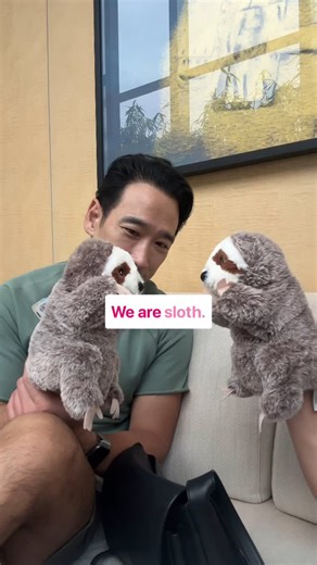 WOODY | Us, in sloth form. Best way to communicate to one another. More room for mindfulness in listening responding and responding .. not... | Instagram