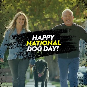 26K views · 361 reactions | Our dogs change our lives, and today is all about celebrating them  Happy National Dog Day! See more of these furry friends in #BetterHumanBetterDog, Fridays at 8/7c on National Geographic TV. Streaming soon on Disney+ and Hulu. | National Geographic Animals | Facebook