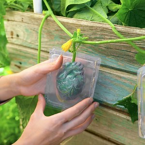 1.6M views · 4.7K reactions | Experimental tips for your garden | Green Bean | Facebook