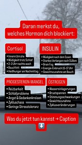 Kennst du das: Du bist schnell erschöpft, der Bauch fühlt sich „voll“ an, die Stimmung kippt schneller – und irgendwie passt du gerade nicht so richtig zu dir? Dann lohnt sich ein Blick auf vier Hormone, die bei vielen ab 40 den Ton angeben: Insulin, Cortisol, Östrogen und Progesteron. Sie beeinflussen, wie du Energie spürst, wie du schläfst, wie dein Körper Fett verteilt – und wie stressfest du dich fühlst. Die gute Nachricht: Du kannst deinen Körper jeden Tag ein Stück in Richtung Balance schi