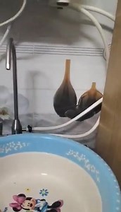 Phòng Bệnh - Cho Bản Thân Và Người Thân. . 💖💖💖💖💖💖💖💖💖💝❤❤💕💝. Vũ Minh Quân :ĐT:0816199288 -0335.155.669. Đc: Xóm 9 - Thôn Xuân Hưng - Xã Đông Hưng - Huyện Tiên Lãng - Thành Phố Hải Phòng. | Minh Quân Vũ