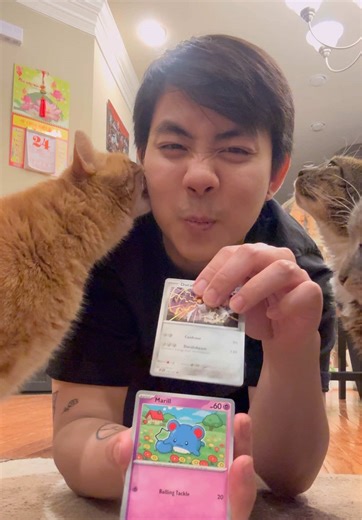 Pokemon card opening | Let my cats give me blessings