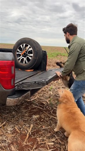 German.Shepherd.Kingdoms on Instagram: "Zara: Bora I pull you Mint: 🫠🫠🫠 _ Credit: camila.andrioli On TikTok _ DM for Credit or removal! _ #germanshepherd #germanshepherdsofinstagram #germanshepherdpuppy #germanshepherddog #germanshepherds #germanshepherdworld #germanshepherdlovers #germanshepherddaily #germanshepherdmix #germanshepherdsofig #germanshepherdlove #germanshepherdsonline #germanshepherdsdaily #germanshepherdpuppies #germanshepherdlover #germanshepherdofig #blackgermanshepherd #ger