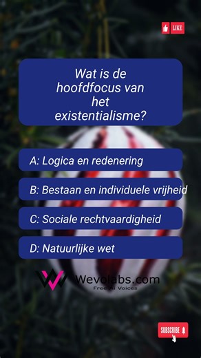 Laten we je geheugen testen 🧩 Wat is de hoofdfocus van het existentialisme?