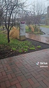 Exploring Howard Community College Programs