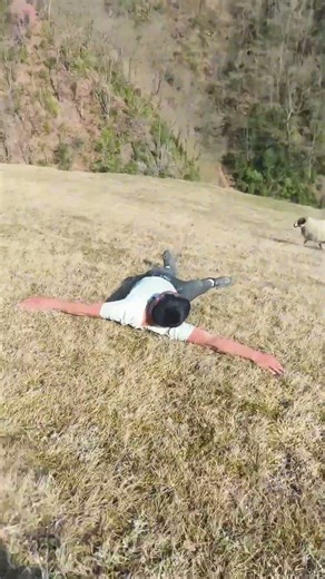 # The Happy Life of a Shepherd # The Sheep Never Expected This in Its Dreams