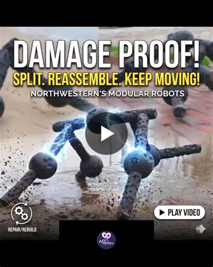 Northwestern University Engineers Develop Modular Robots | AI Insights Daily posted on the topic | LinkedIn