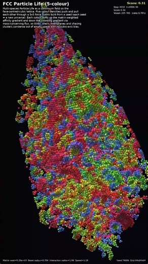 5-colour FCC Particle Life — 3D Cellular Automaton #Shorts